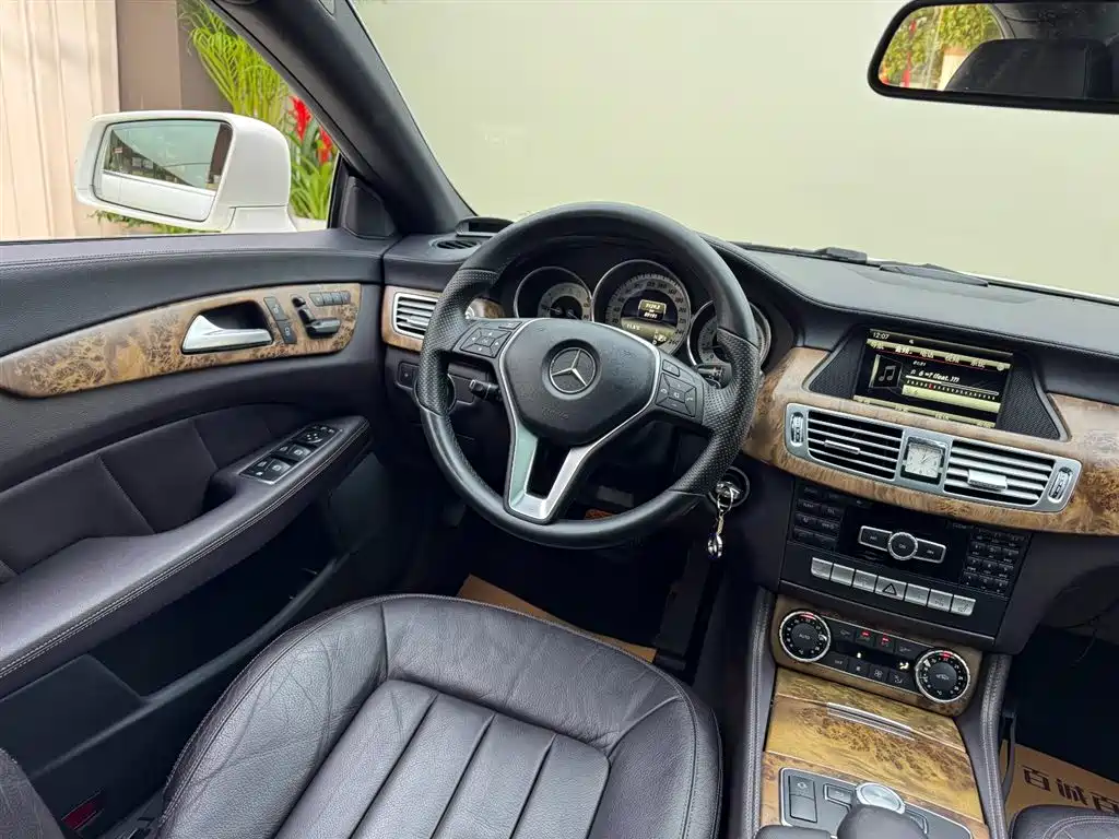 Mercedes-Benz CLS 2012 CLS 300 CGI фото 14