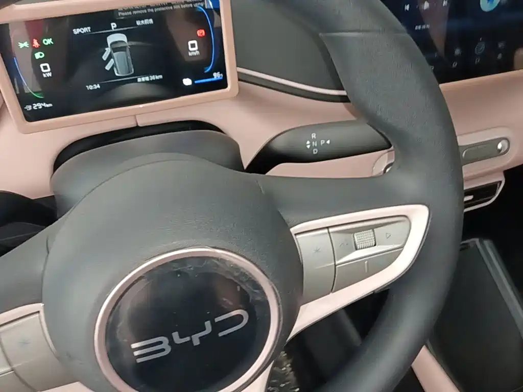 BYD Seagull 2026 2025 Smart Drive Edition 305km Vitality Version