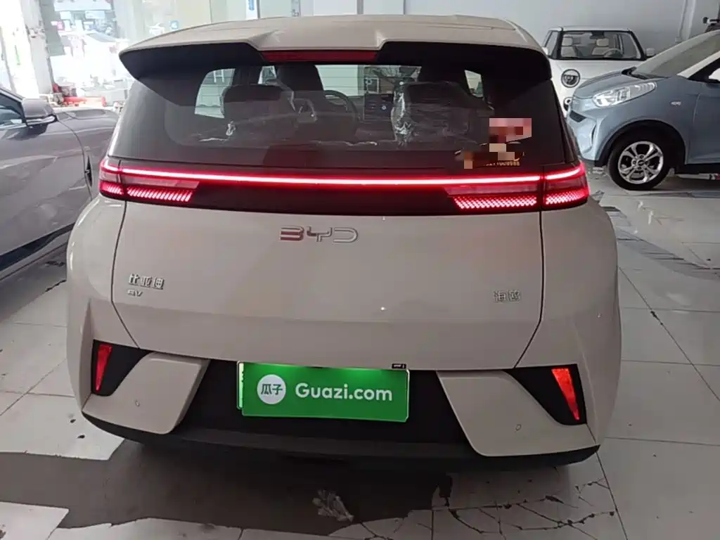 BYD Seagull 2026 2025 Smart Drive Edition 305km Vitality Version