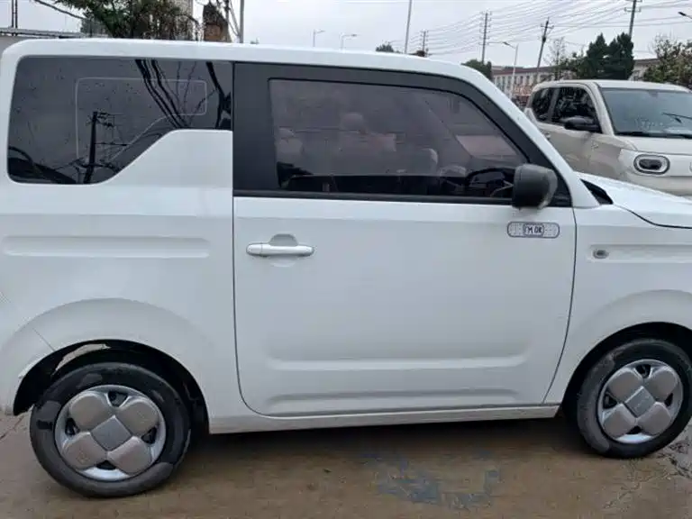 Geely Galaxy Panda 2023 Panda Mini 200km Endurance Bear фото 7