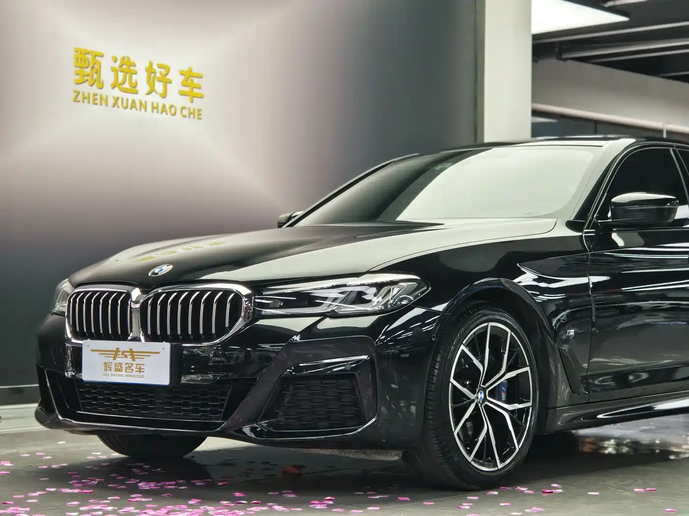 BMW 5 SERIES (IMPORTED)