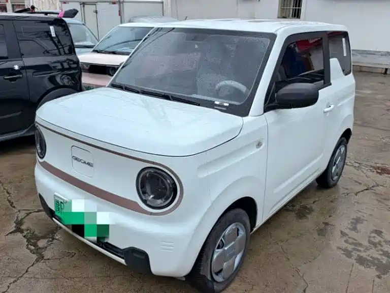 Geely Galaxy Panda 2023 Panda Mini 200km Endurance Bear