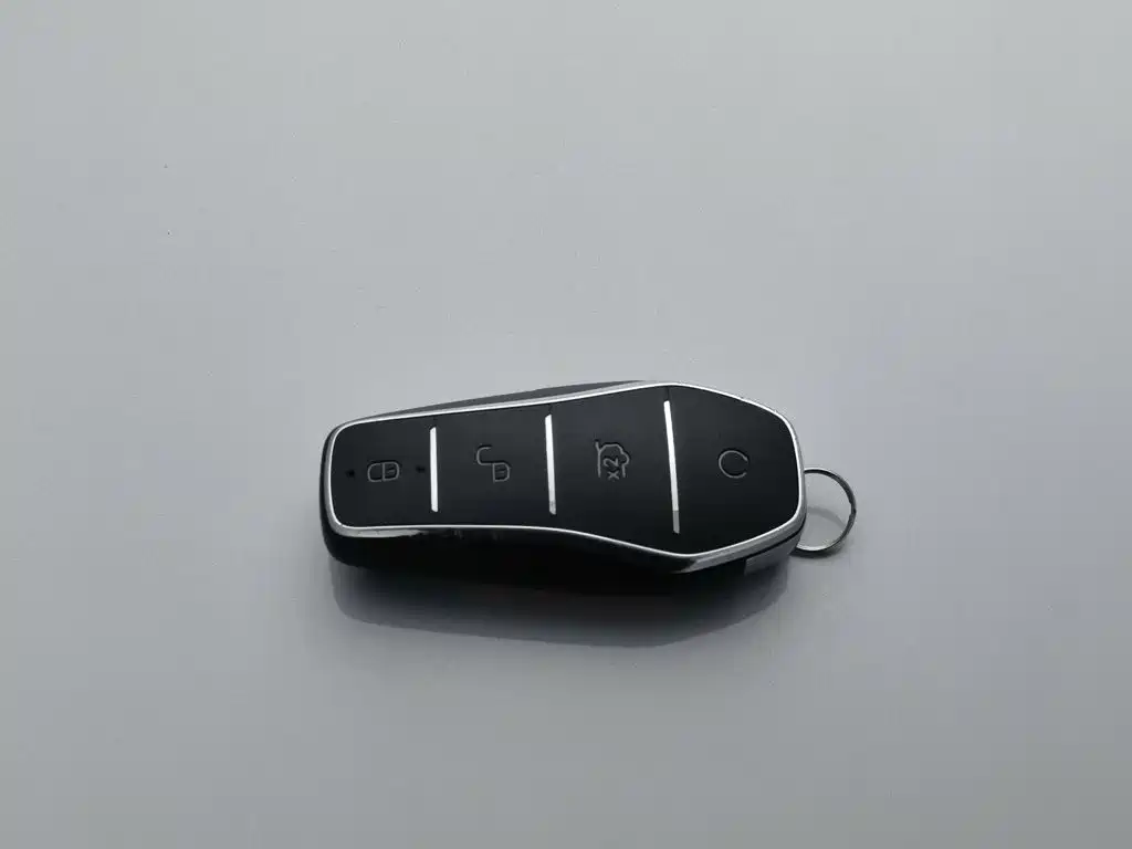 Фото 19 - BYD Qin L