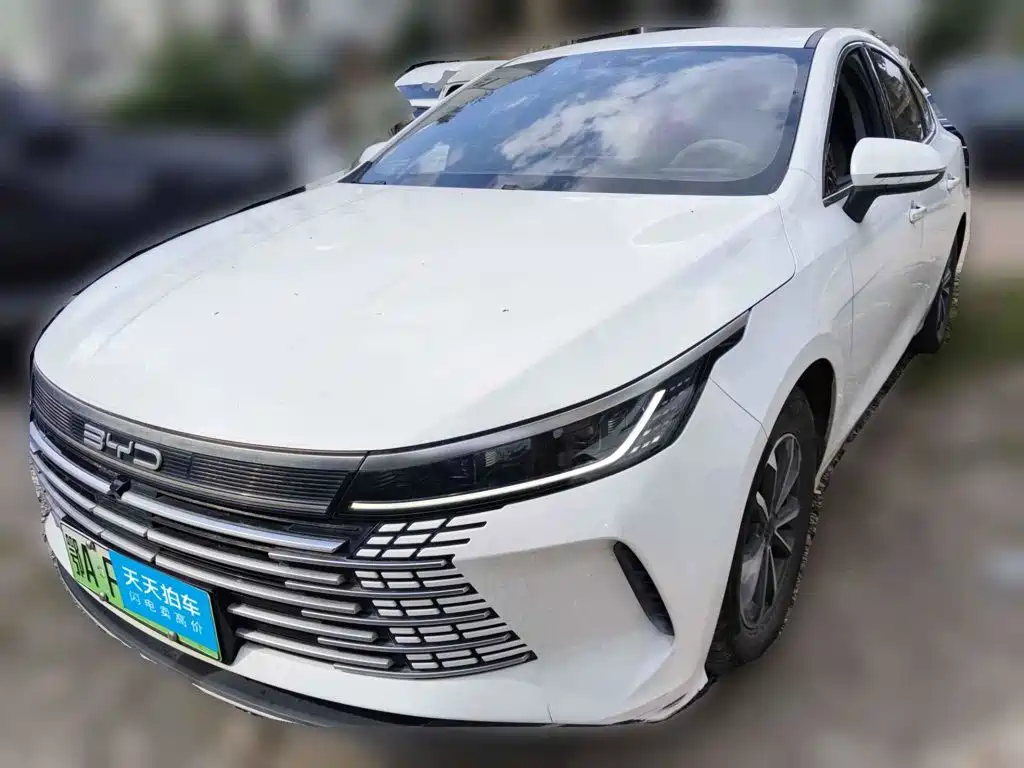 BYD Destroyer 05 2024
