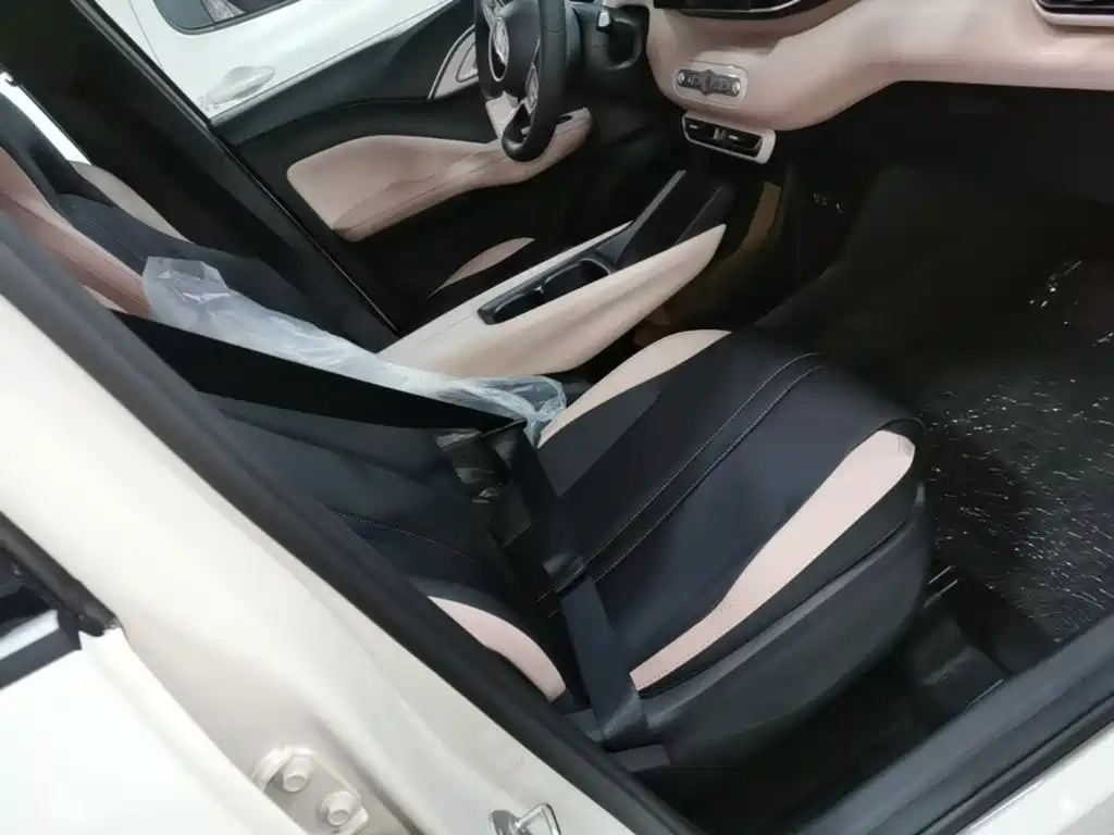BYD Seagull 2026 2025 Smart Drive Edition 305km Vitality Version