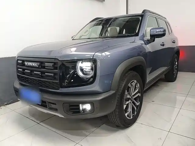Haval Dargo 1.5T DCT, Бордер-колли