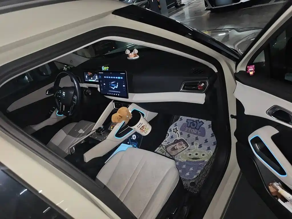 صورة 20 - BYD Yuan UP