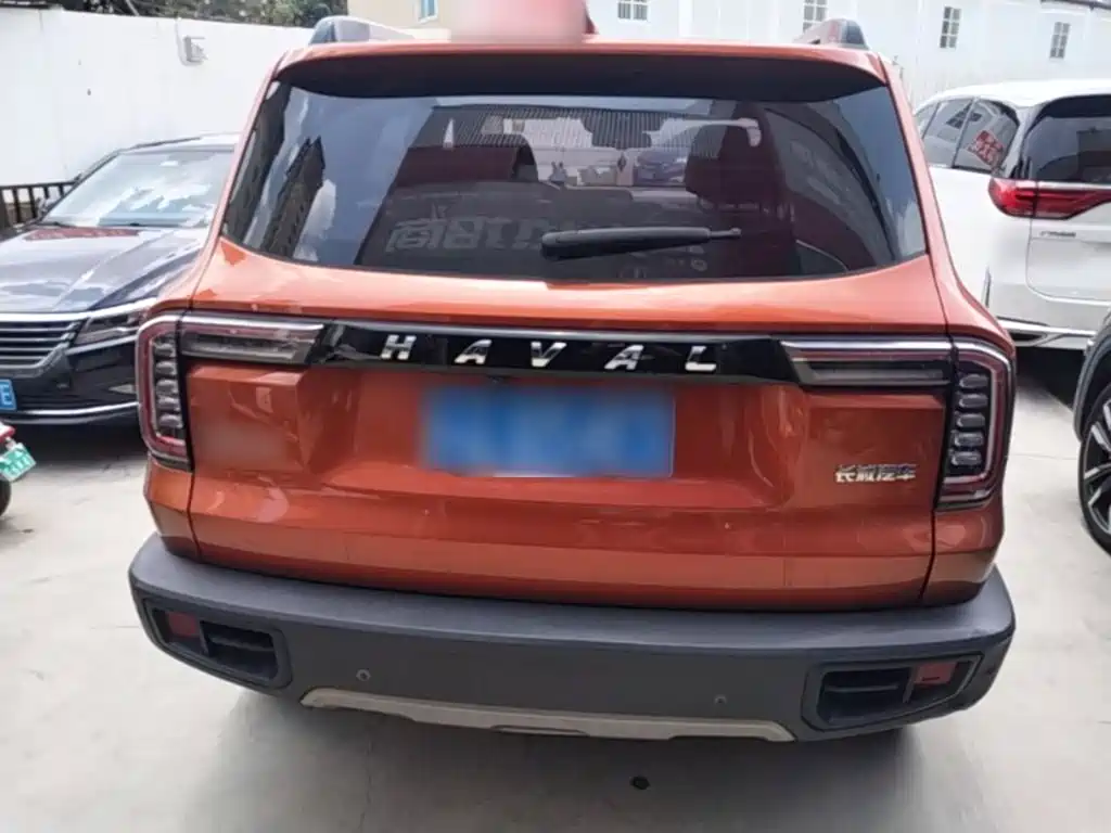 Фото 6 - Haval Big Dog