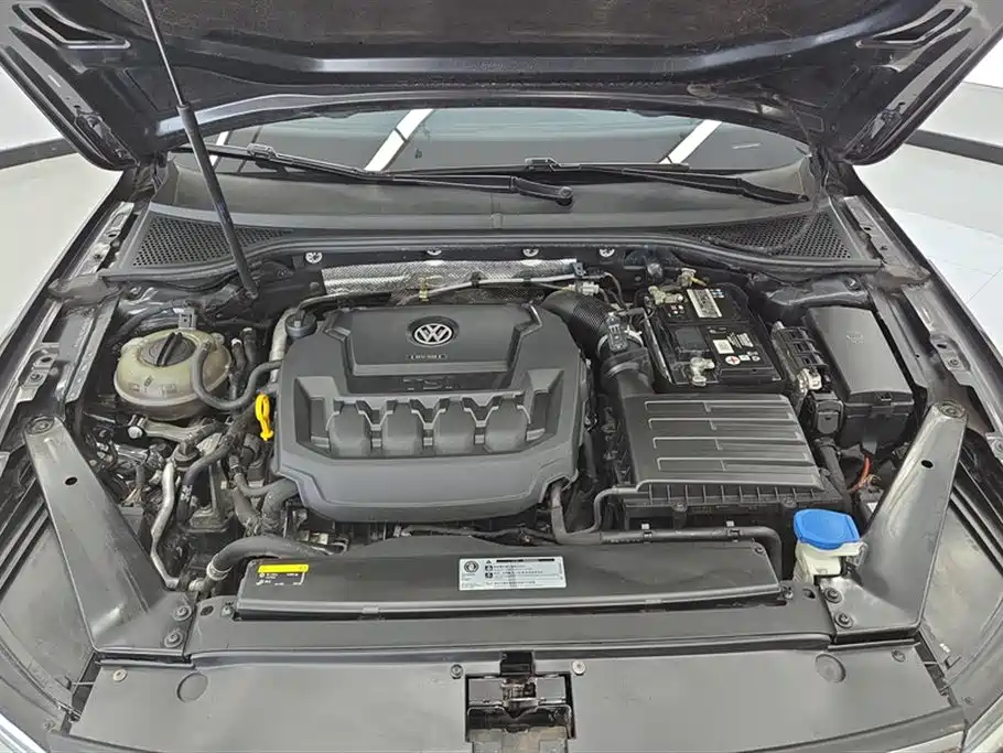 Volkswagen Magotan 2019 330TSI DSG Luxury Class China VI фото 10