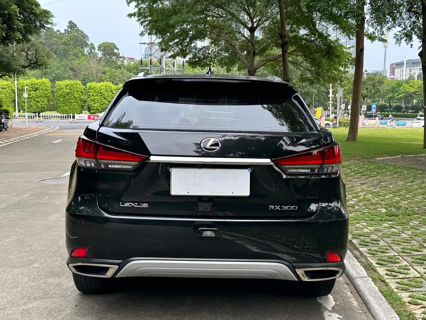 Фото 6 - Lexus RX