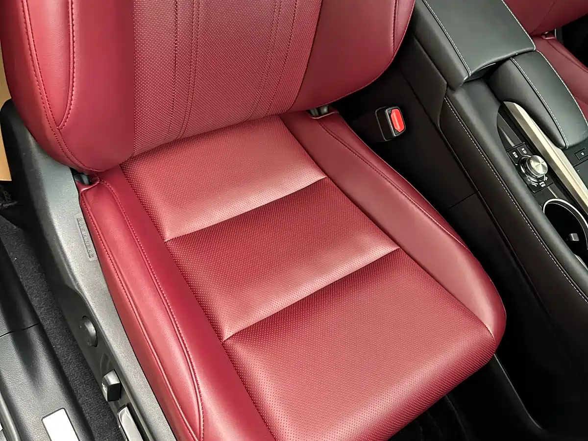 Фото 22 - Lexus RX
