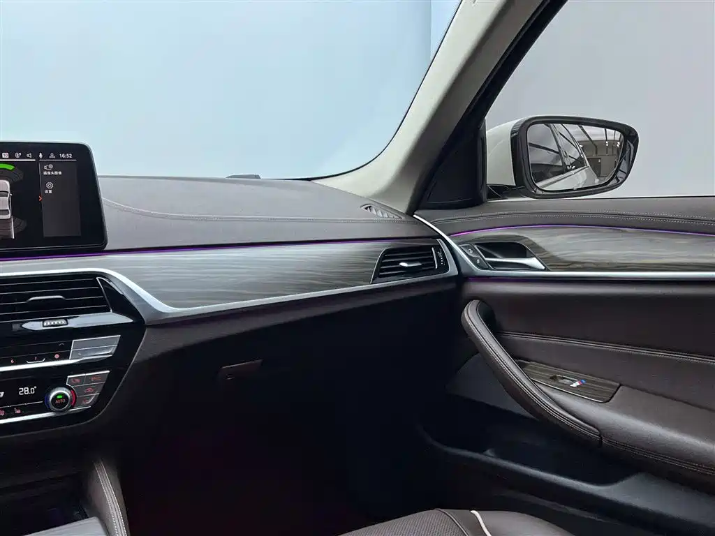 BMW 5 Series 2021 Facelift 530Li xDrive Luxury Package фото 28