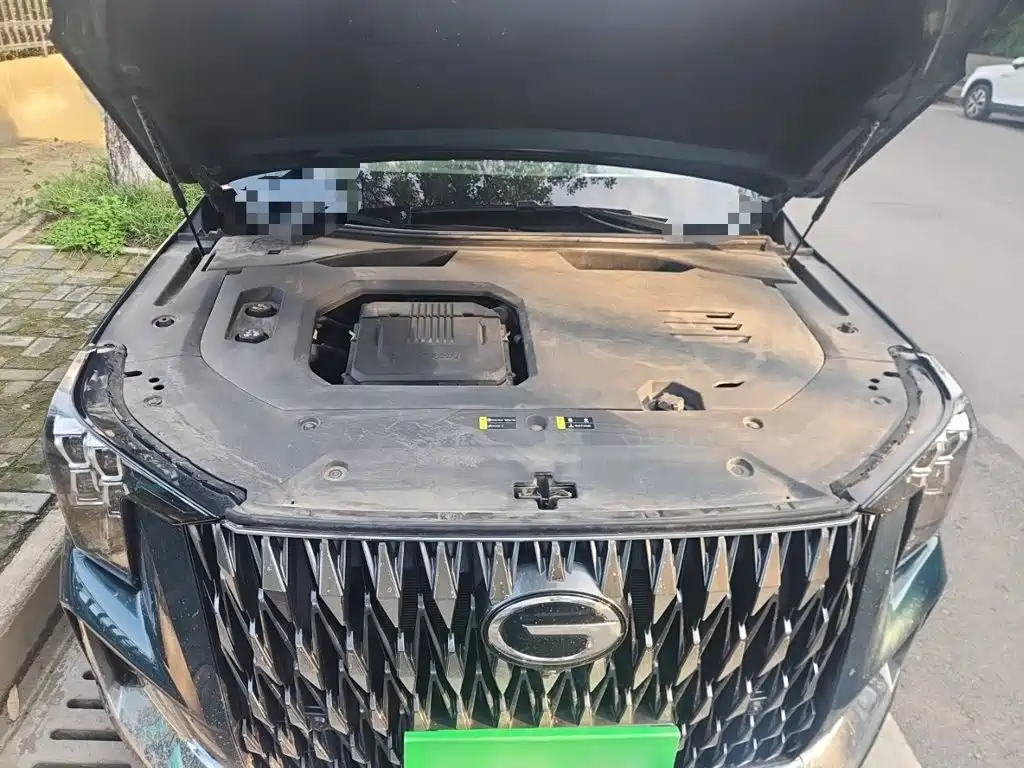 Photo 11 - GAC Trumpchi Trumpchi GS8