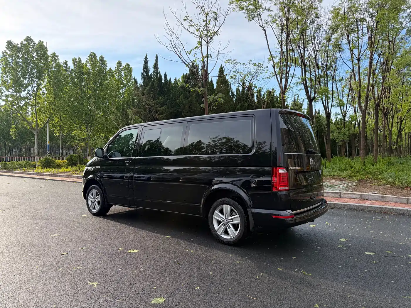 Volkswagen Caravelle 2018 2.0TSI 4WD Luxury Edition 7-Seater фото 5