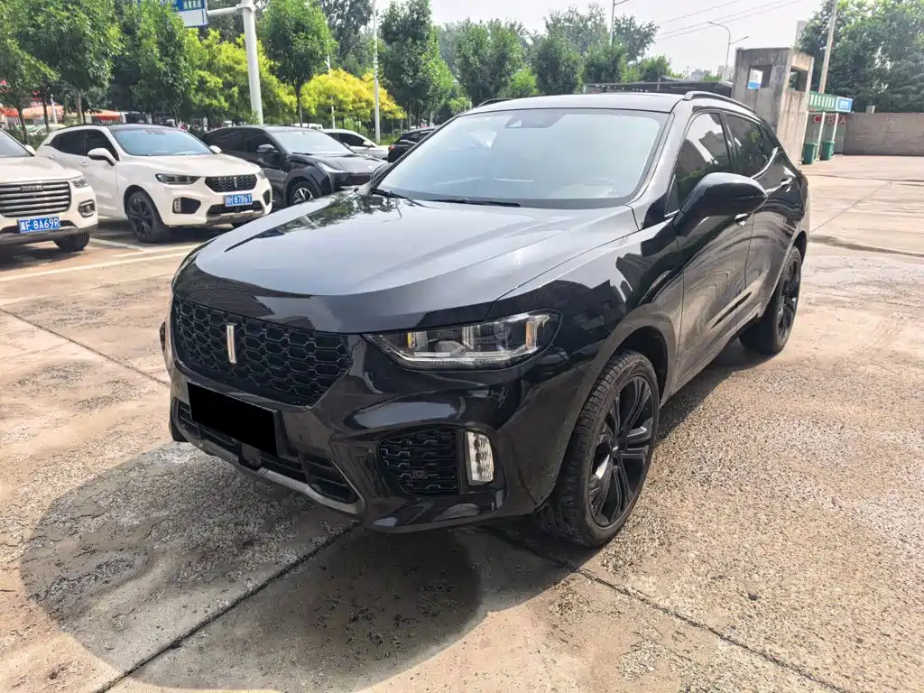 WEY VV5 2017 2017 2.0T Flagship Model