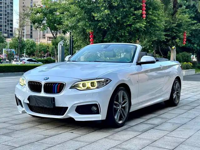 BMW BMW 2 Series (Import) 2015 220i Convertible Coupe M Sport