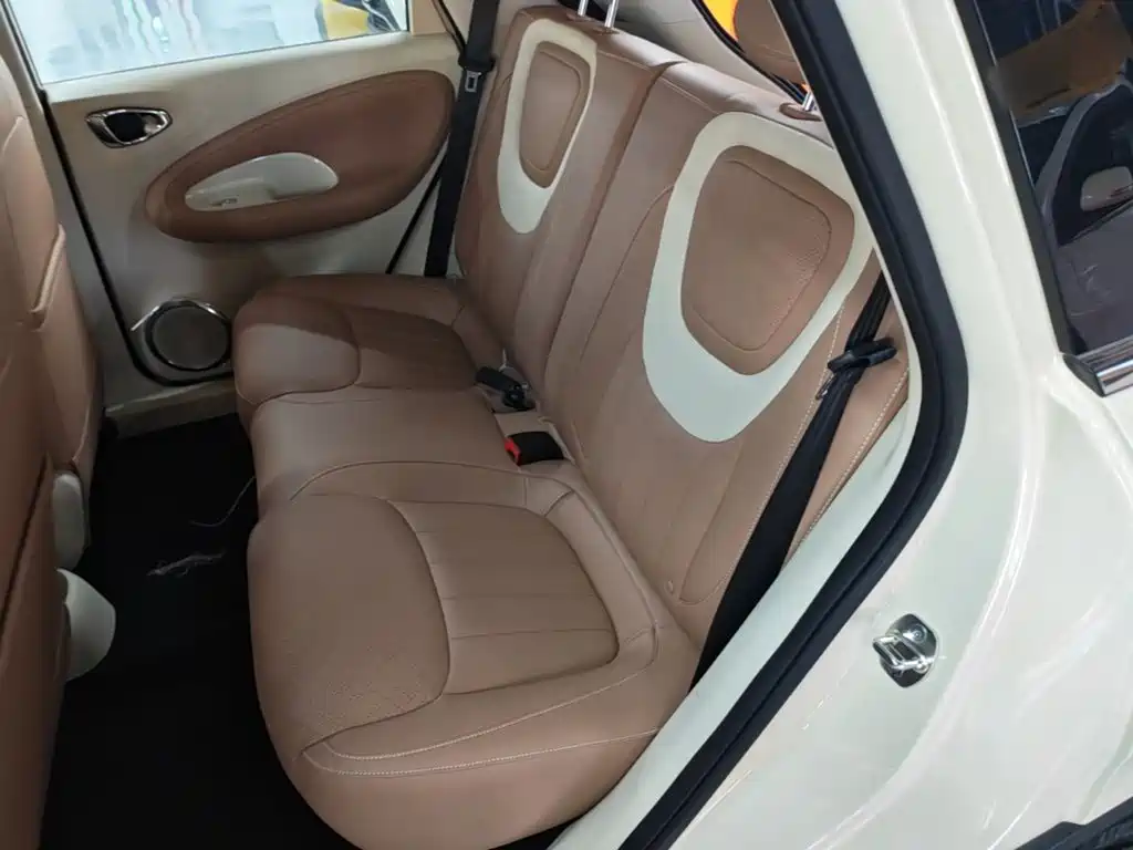 Wuling Motors Wuling Bingo 2026 2025 Model 333km Joy Edition