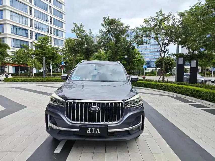 SWM Motor SWM G05 2019 2019 1.5T Automatic Luxury Model