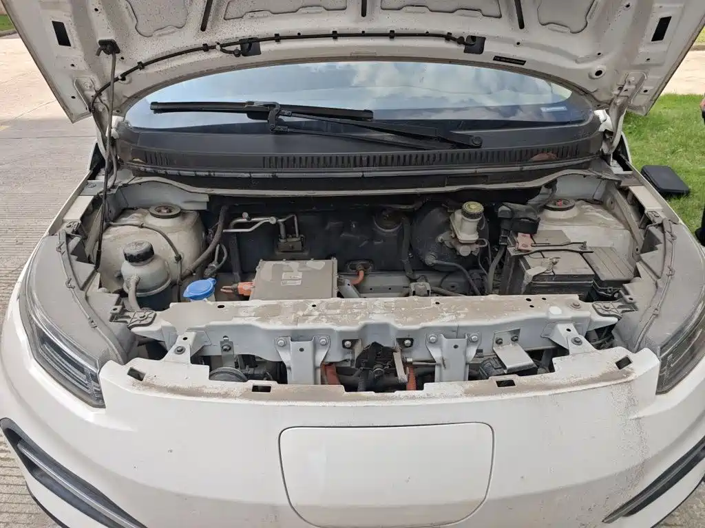 Dayun Yuehu 2022 2022 30.66kWh 2WD Standard Edition