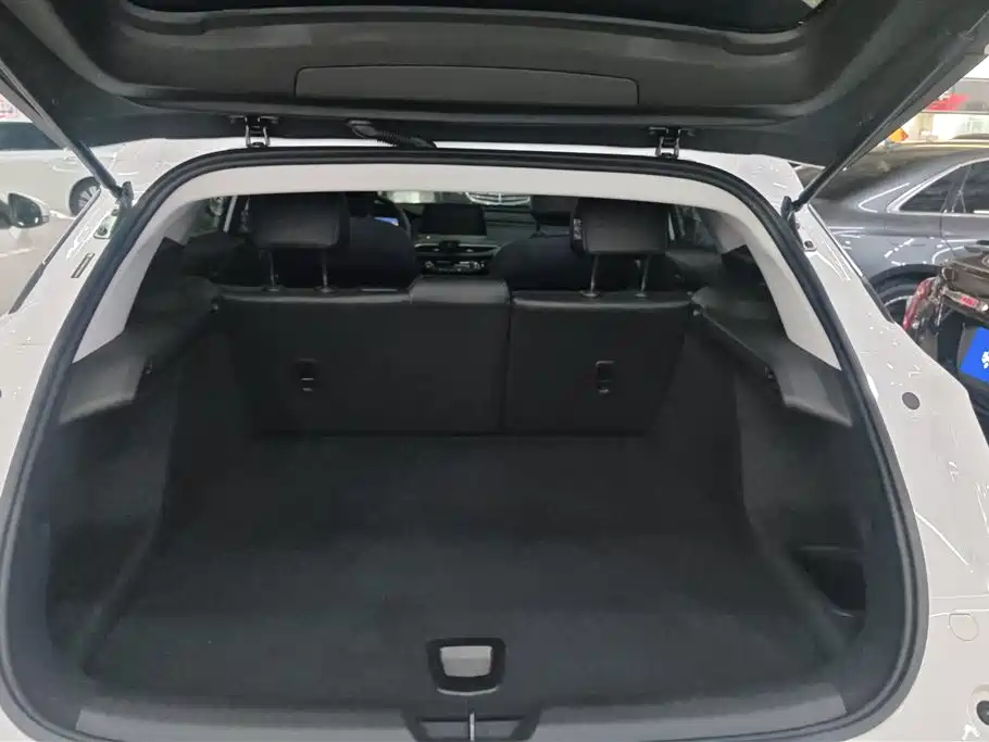 BUICK SLIGHTLY BLUE 6