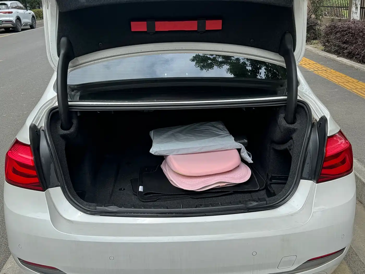 BMW 3 Series 2018 318Li фото 13
