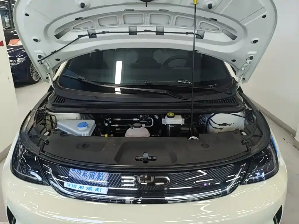 BYD Dolphin 2026 2025 Smart Drive Edition 410km Fashion Version
