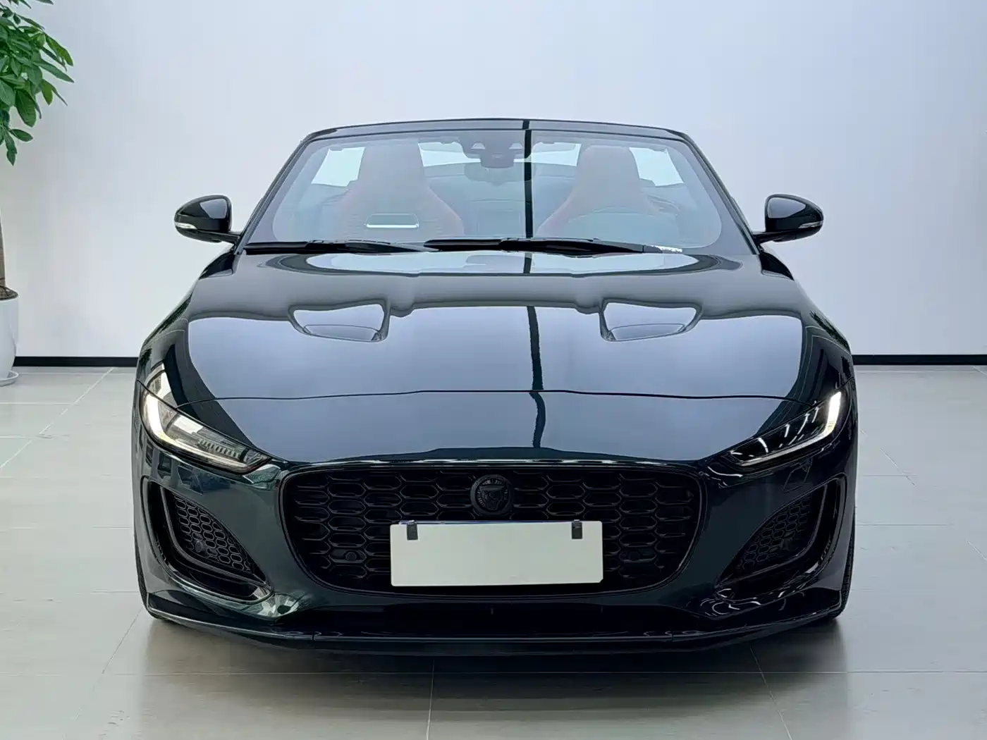 Jaguar F-TYPE 2024 2024 P300 75th Anniversary Collector's Convertible Edition