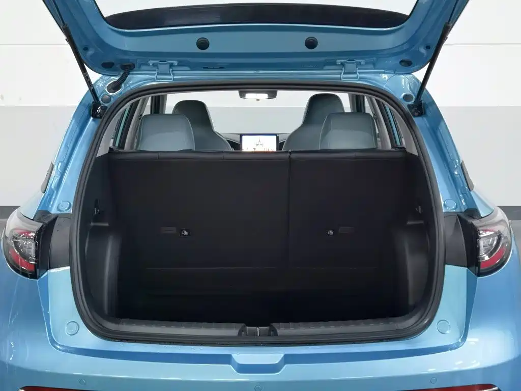 Geely Galaxy Starry Wish 2024 2025 310km Youth Edition