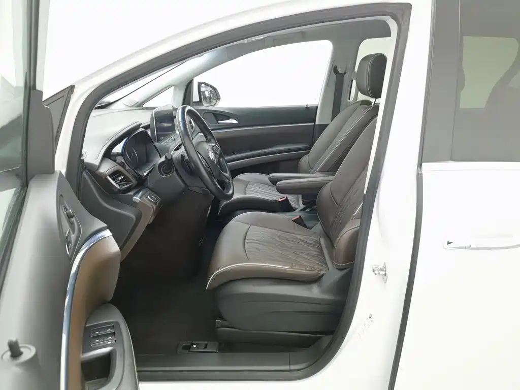 Buick GL8, миниатюра 10