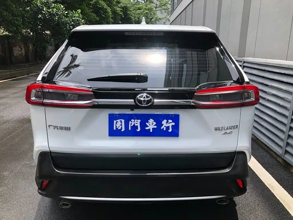 Toyota Wildlander 2020 2020 2.0L CVT AWD Luxury Edition