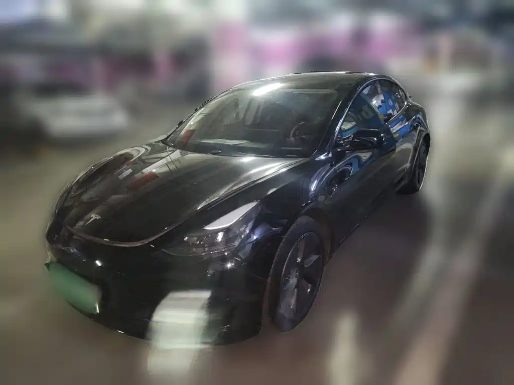Tesla Model 3 2021