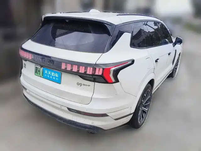 Lynk & Co 09 EM-P 2023 2.0TD EM-P Voyage PM 7-Seater — фото 2