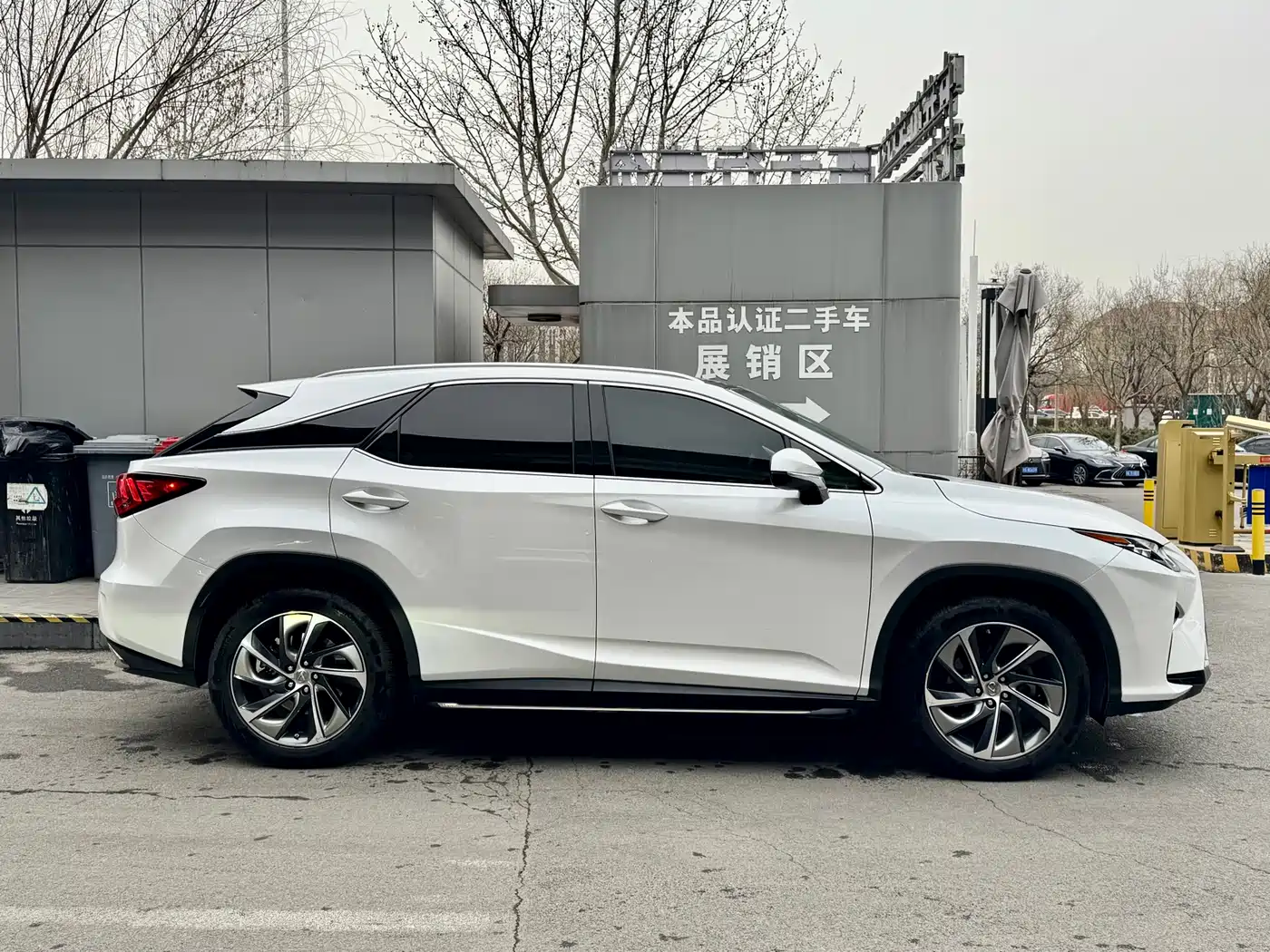 LEXUS RX