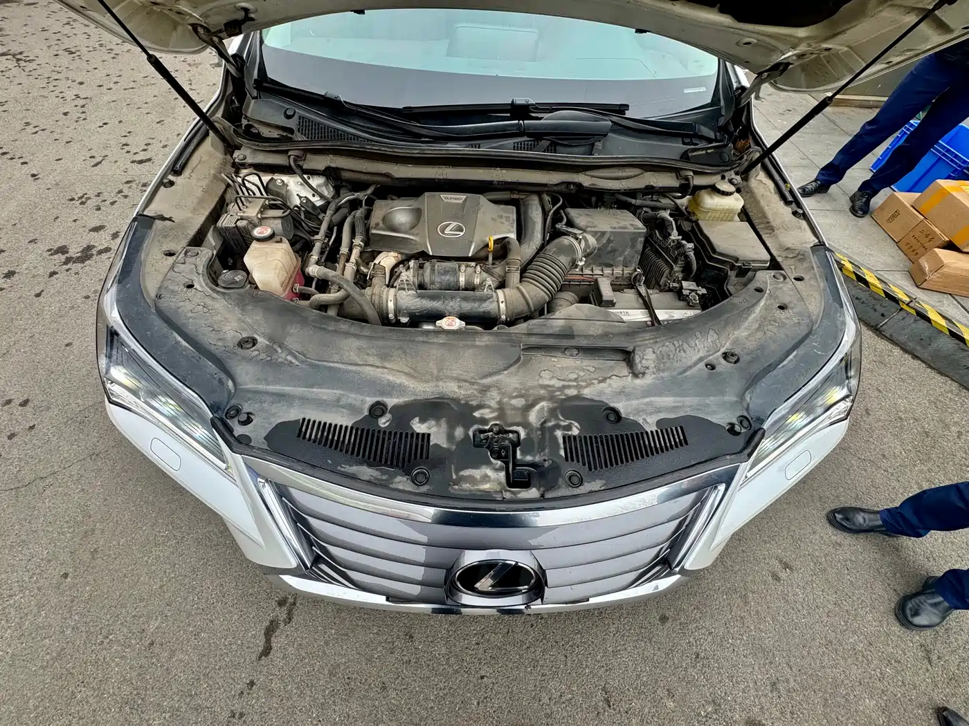 LEXUS RX