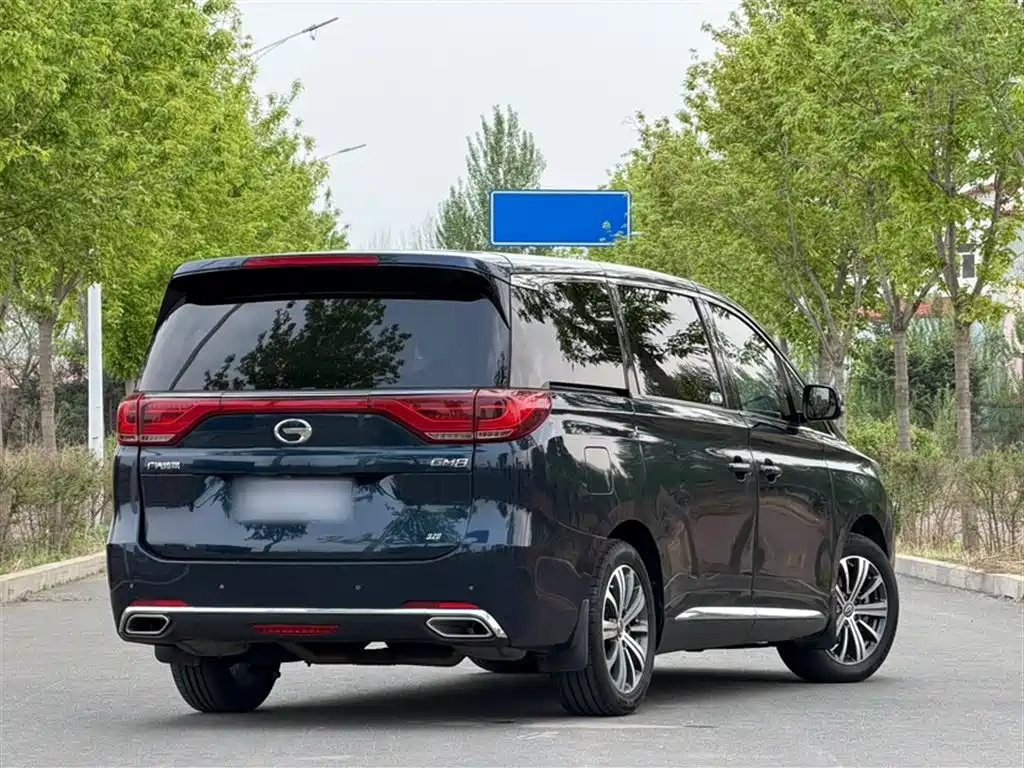 GAC Trumpchi Trumpchi M8 2018 320T Premium Edition фото 12
