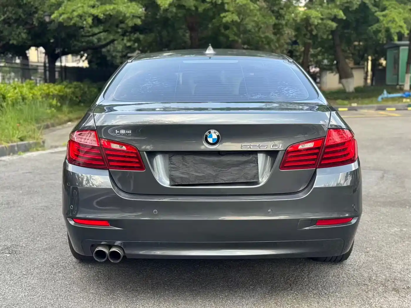 BMW 5 Series 2014 525Li Leading фото 5