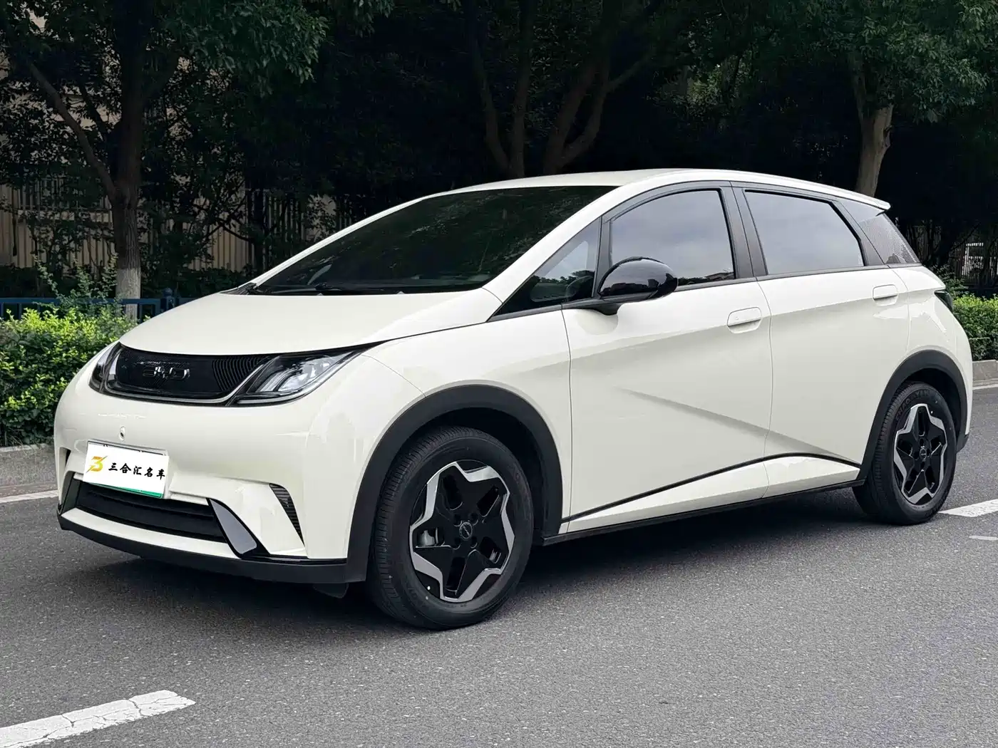 BYD Dolphin 2021 405km Freedom Edition