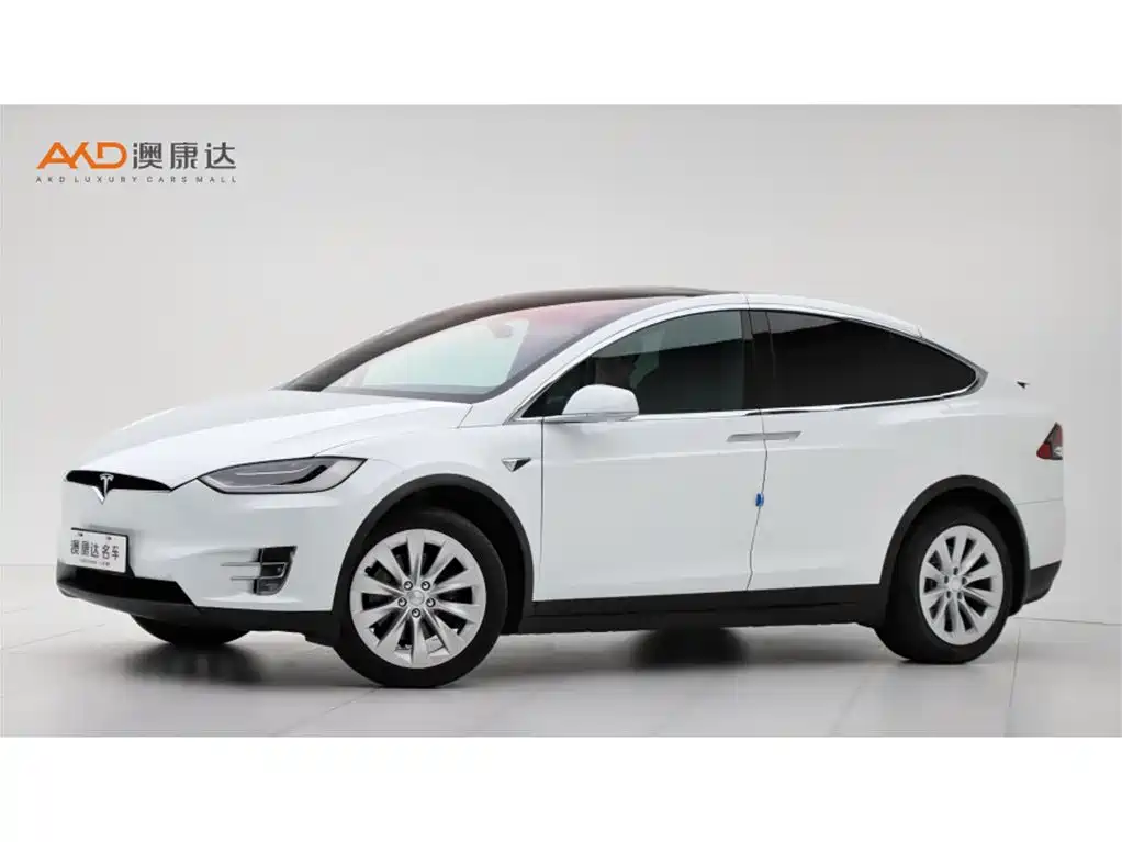 Tesla Model X 2017 2017 Model X 100D Long Range