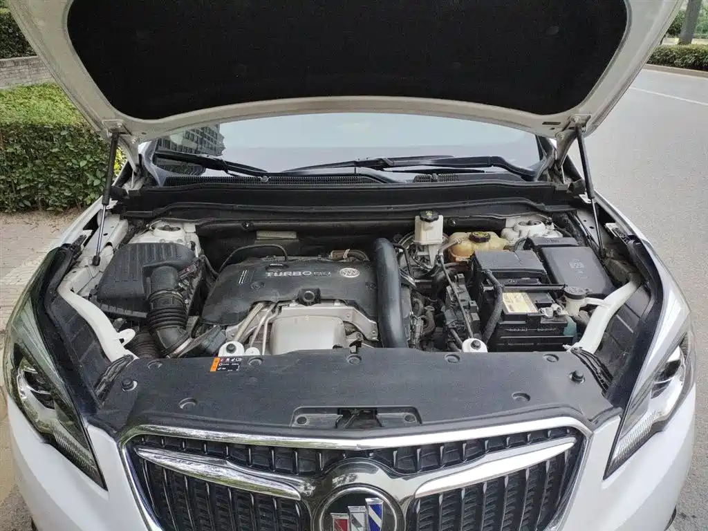 Buick Envision Plus 2018 28T 4WD Luxury фото 11