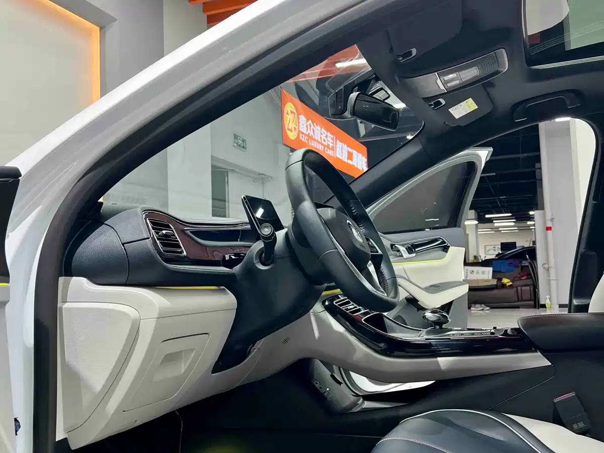 BYD Qin PLUS 2021 DM-i 55KM Flagship фото 4