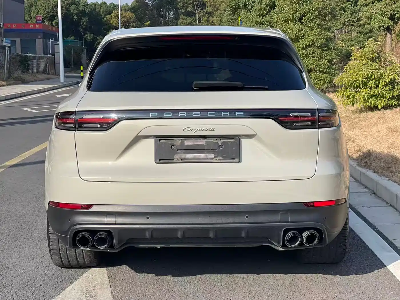 PORSCHE CAYENNE NEW ENERGY