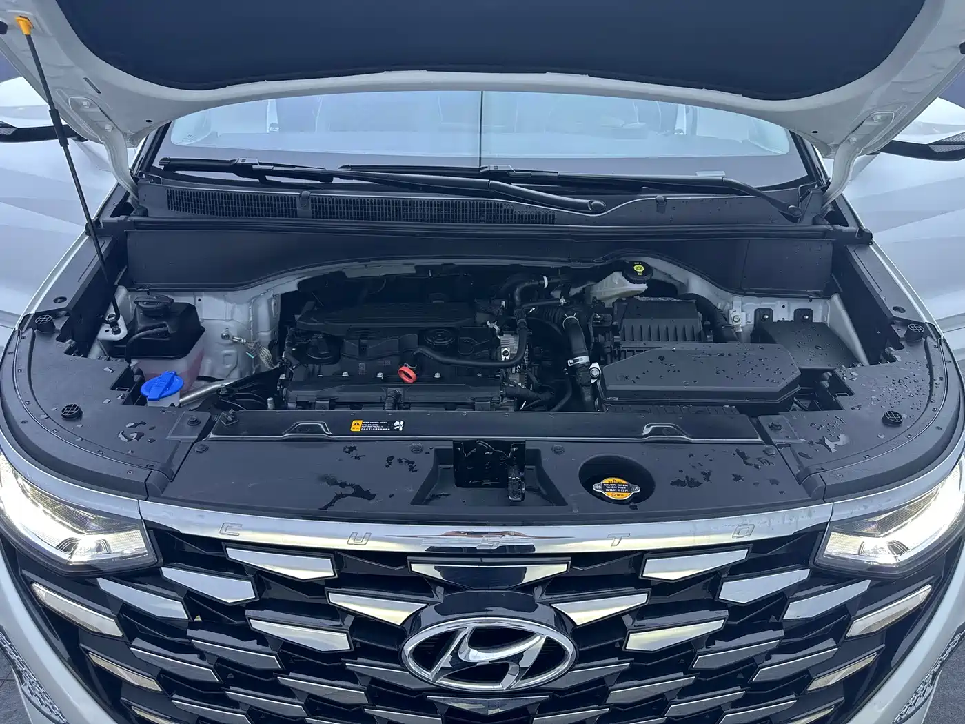 Hyundai Kustu 2025 2024 270TGDi TOP Smart Love Flagship Edition