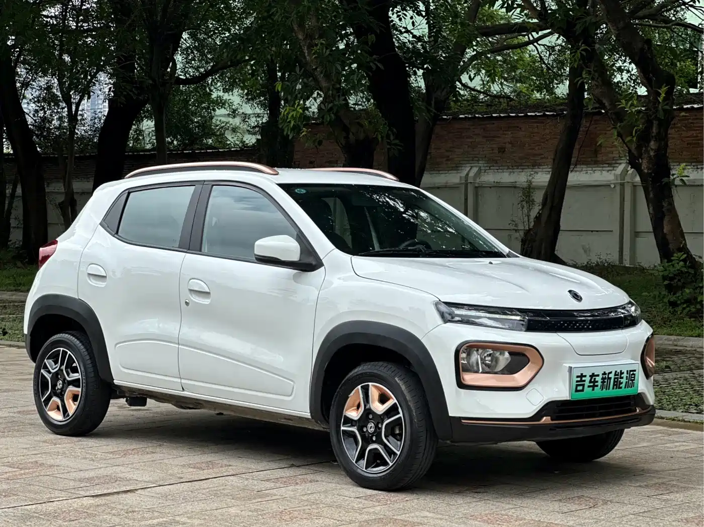 Dongfeng Yipai Nano BOX 2024 2022 Wind Chaser Edition 331KM Standard