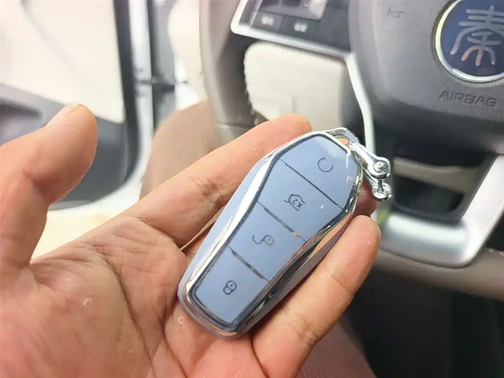 BYD Qin PLUS 2024 Glory Edition DM-i 55KM Leading фото 9