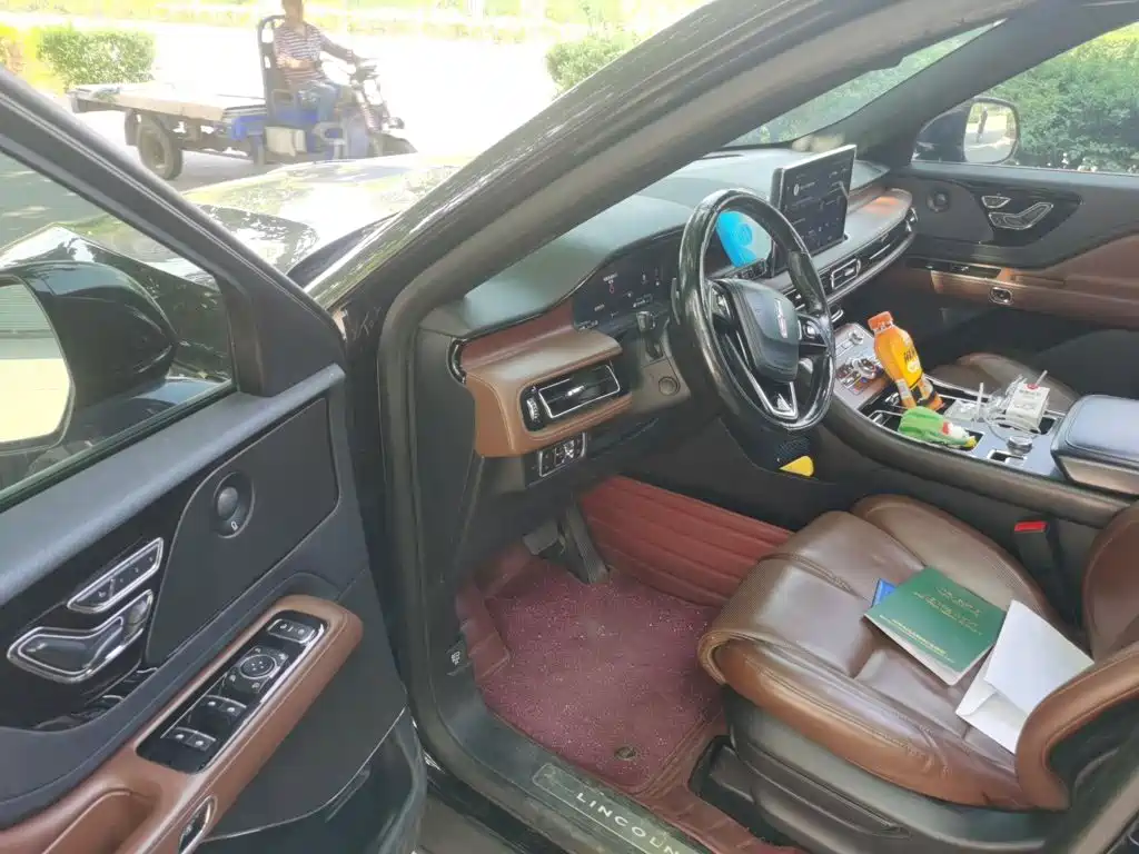 Photo 13 - Lincoln Aviator