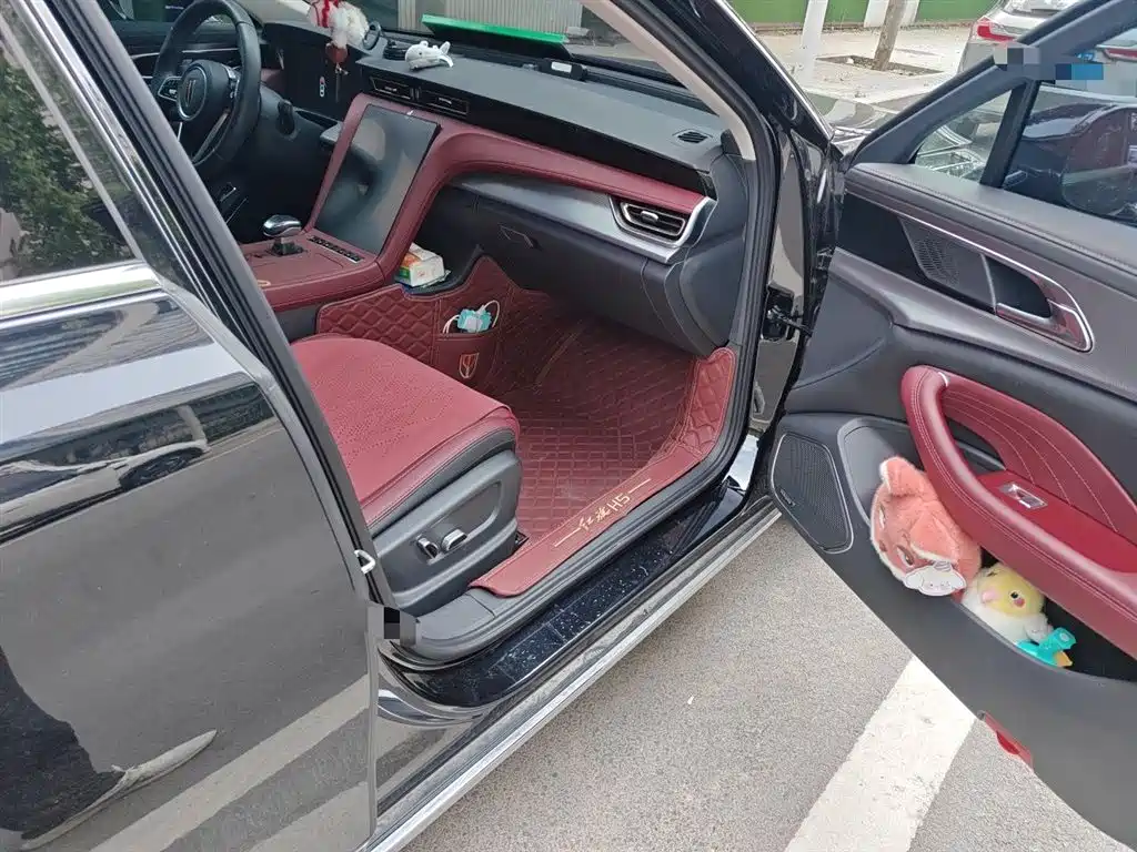 Hongqi H5 2024 2.0T Automatic Smart Connect Flag Smooth Edition фото 21