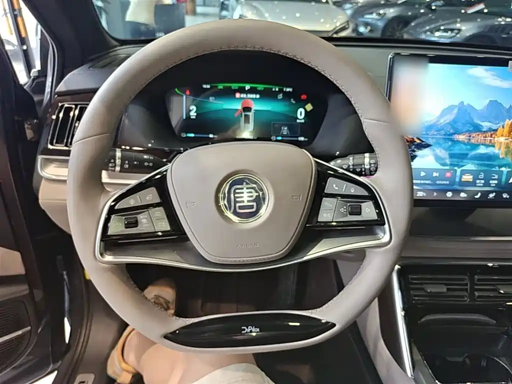 BYD Tang New Energy 2024 DM-p Glory Edition 215KM AWD Premium фото 11
