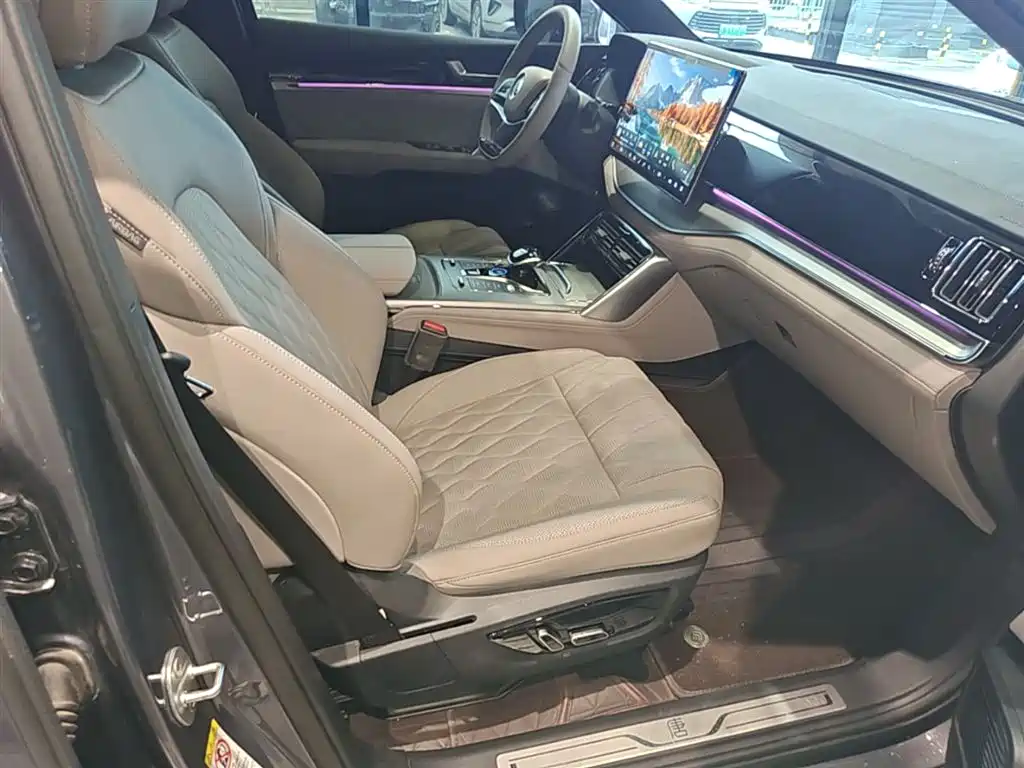 BYD Tang New Energy 2024 DM-p Glory Edition 215KM AWD Premium фото 25