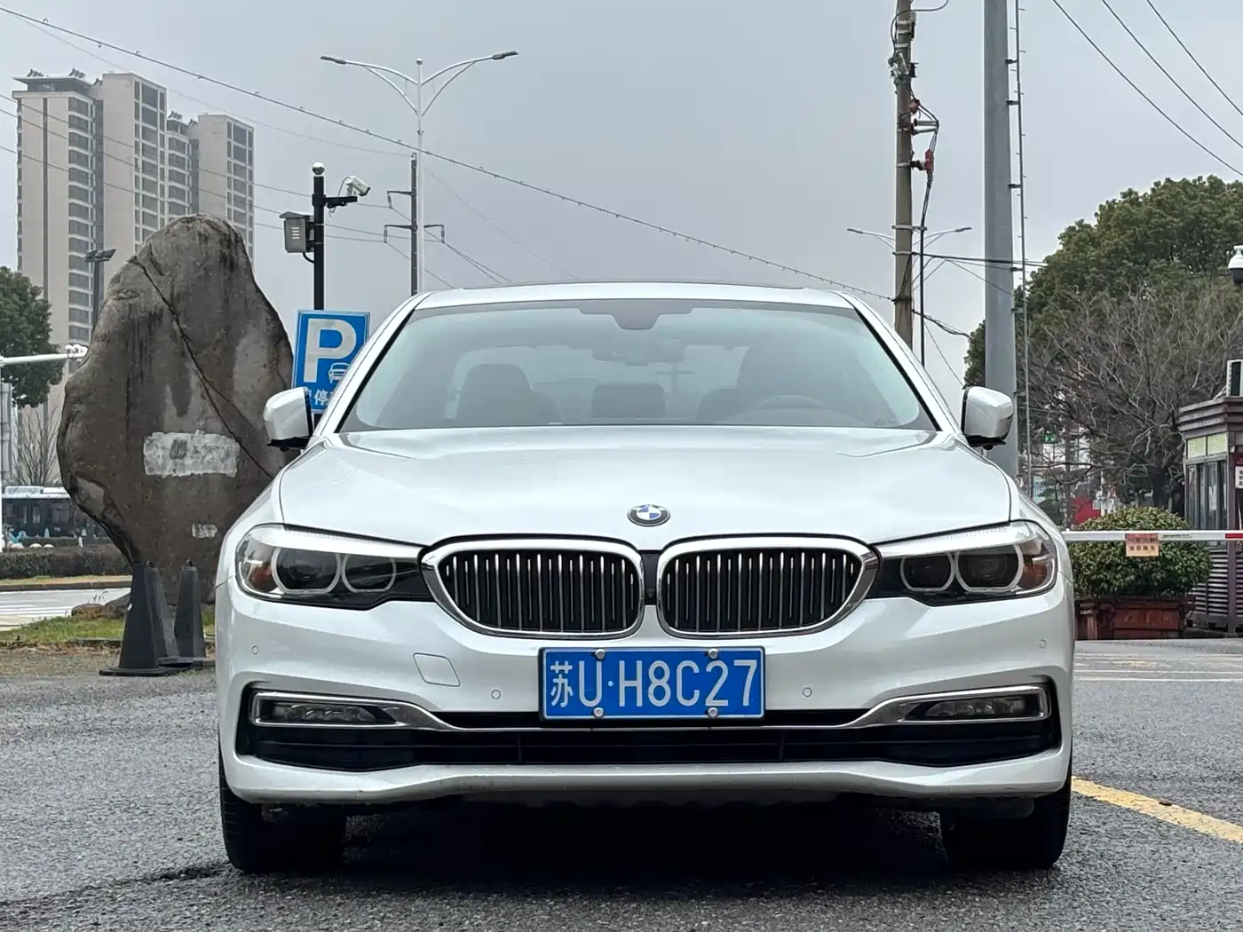 BMW 5 Series 2018 530Li Leading Luxury Package