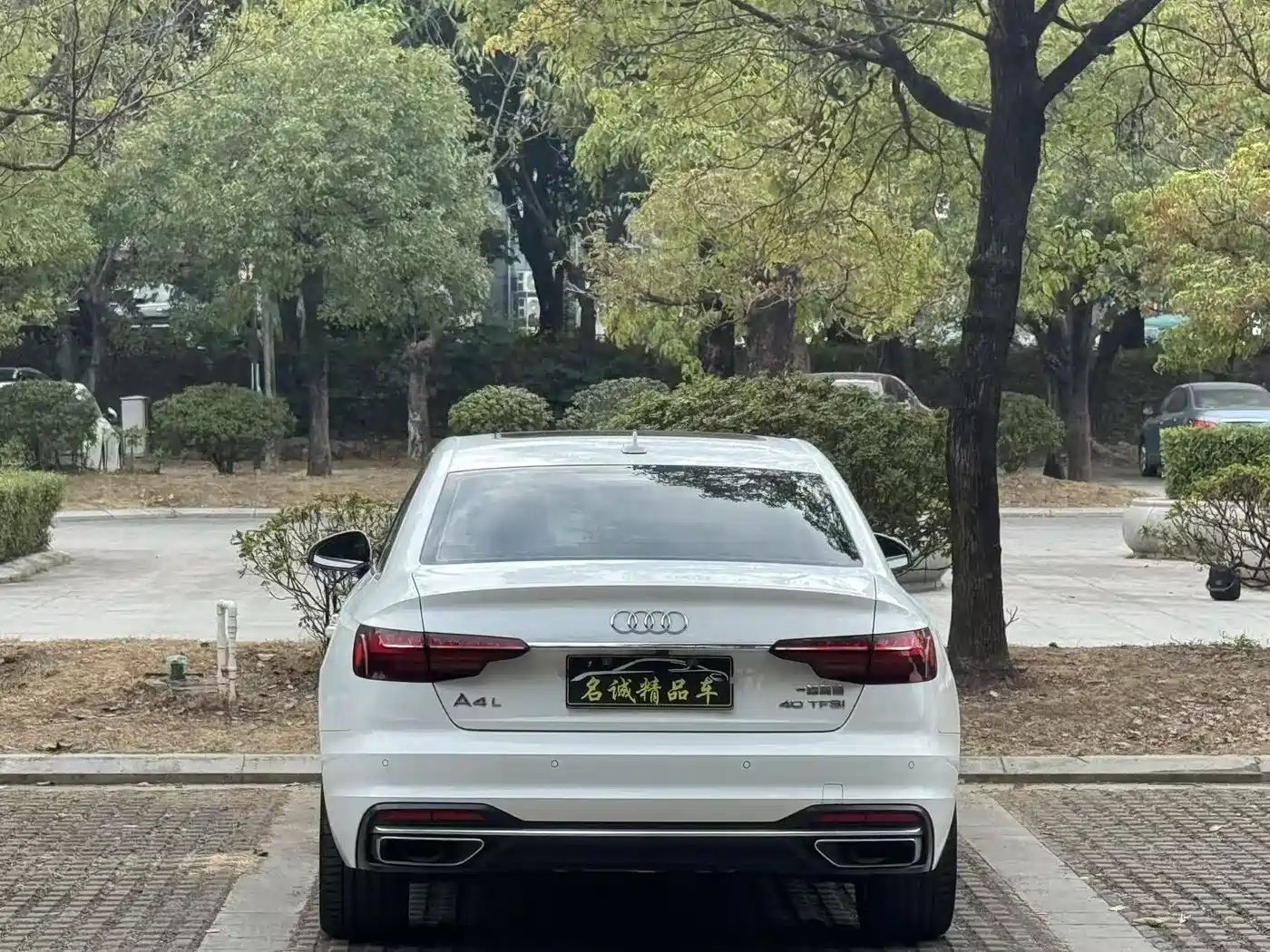 Audi A4L 2020 40 TFSI Luxury Elegance фото 14